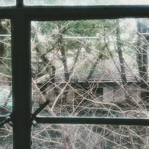 被冬天的霧氣啃咬過的旋律