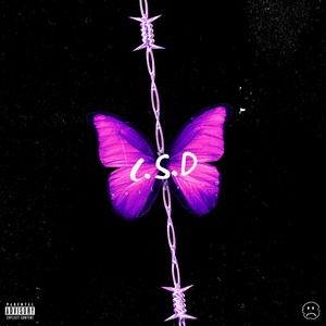 C.S.D