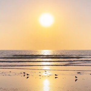 一起看海边日落