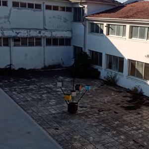 you ignored the pleasure