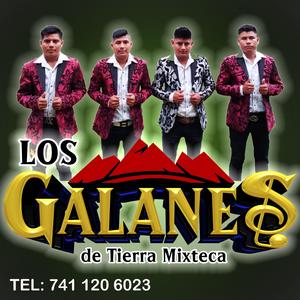 NDIAKUA KAVA ÑA MII ÑA