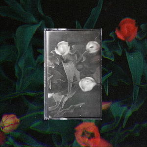 Post-traumatic Vague Memories