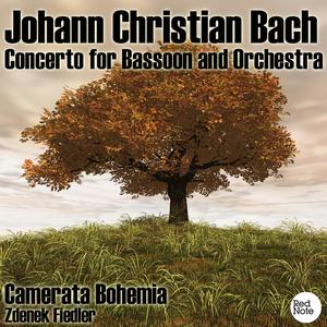 Concerto for Bassoon and Orchestra in E Flat Major, W C82: 1 Allegro spirituoso