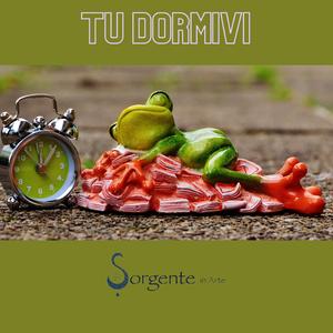 Tu Dormivi