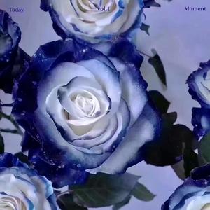 no night（Prod by Nino）