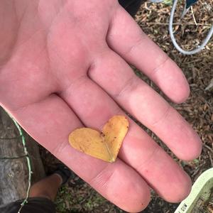 Anti-Capitalist (be so loving) (feat. Chaos In The CBD)