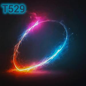 T529