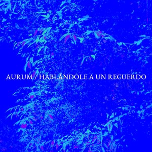 Hablándole A Un Recuerdo