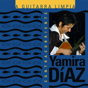 Tema A Guitarra Limpia