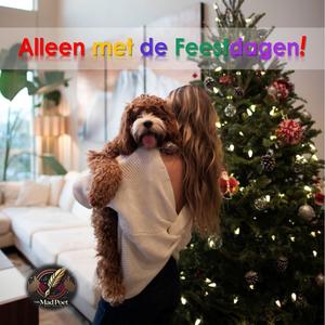 Alleen met de feestdagen