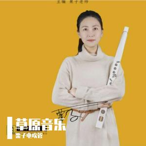 挡不住的思念（电吹管）