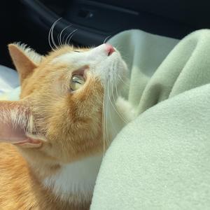 ぼくらのレットイットビー