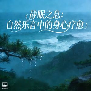 林风琴弦鼓・旷野安疗眠曲