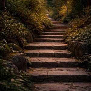 The Way