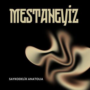 Mestaneyiz