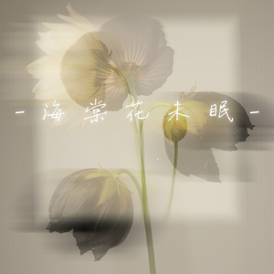 四点的海棠花未眠（梵高星空转场）