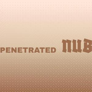 Reservedly Enthusiastic