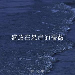 盛放在悬崖的蔷薇