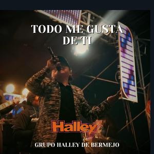 Todo Me Gusta De Ti