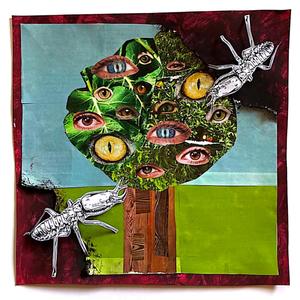 Two Curious Termites