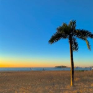 爱已成过去的灰