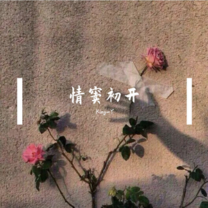 情窦初开（PROD BY FaunmU/Charon）