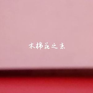 木棉花之恋（DJ范小松版）