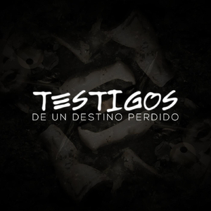 Testigos de un Destino Perdido