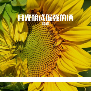 月光酿成倔强的酒
