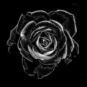 INSATURABLE (REMIX)