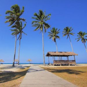 风荷月影（催眠曲音乐）