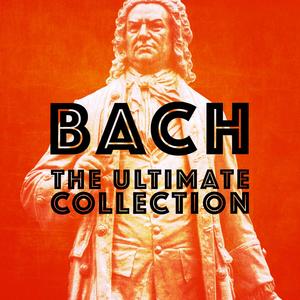 Brandenburg Concerto No. 5 in D Major, BWV 1050: I. Allegro