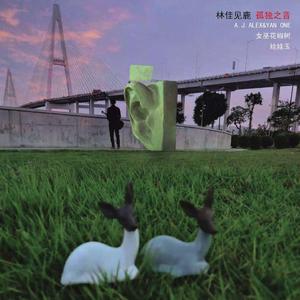 林佳见鹿孤独之音：引子我的悲伤开出了生《生》