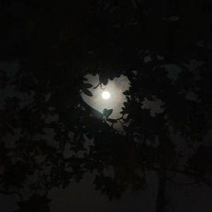 不圆