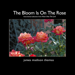 Textures: 4 (Forgiveness)