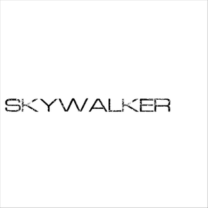 Skywalker (feat. Rico Gabbana)