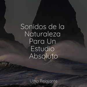 Luz De Vela Relajante