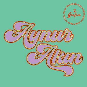 Yalnız Geçen Ömrün Bir Uykusuzluk Gecesi