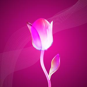 A szívem börtönben lakik