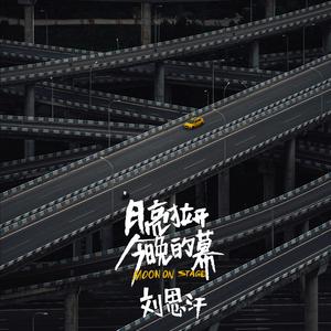 田鸽（Pigeon Tian）