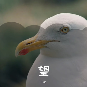 望