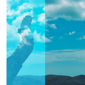 32 270 198 3 (En Vivo)