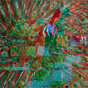 Kaleidoscopic Special