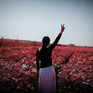 麻烦让他帮我找个工作