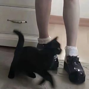 不分手的恋爱（翻自：汪苏泷）