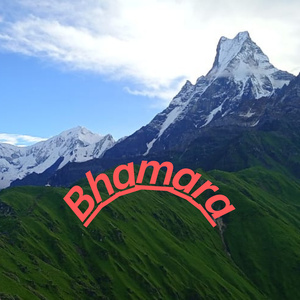 Bhamara