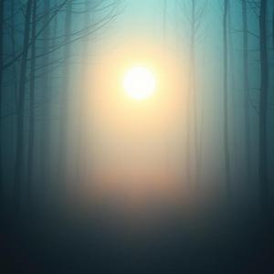 Light