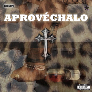 Aprovéchalo