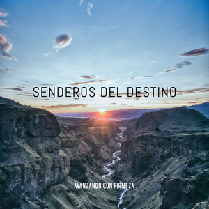 Declaración de Intenciones