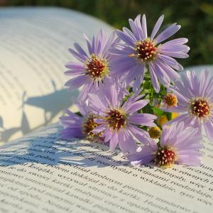 专注力的流动感